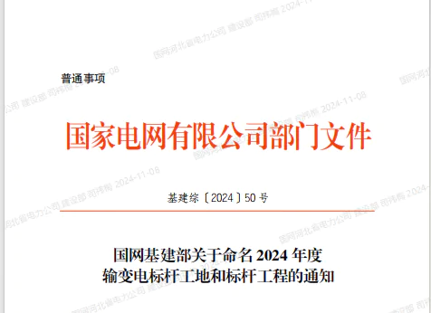 瑞安公司：濟寧金鄉楊莊110千伏變電站工程榮獲 國家電網公司“2024年輸變電標桿工程”