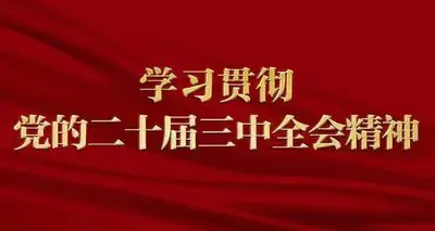 二十屆三中全會精神學習內容（25個基礎知識點）